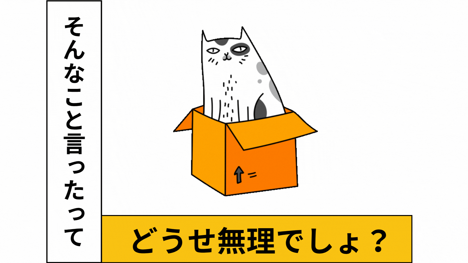 回る猫②